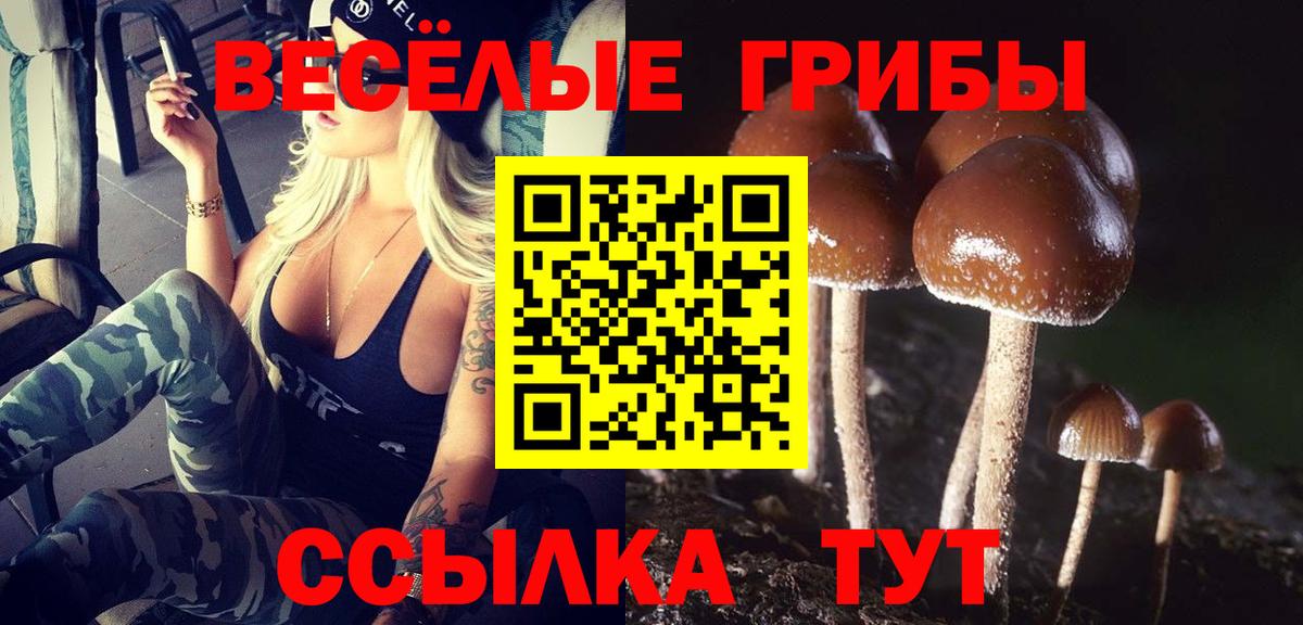 Красный Сулин  Галлюциногенные грибы Psilocybe  цена наркотик  Вход с VPN 